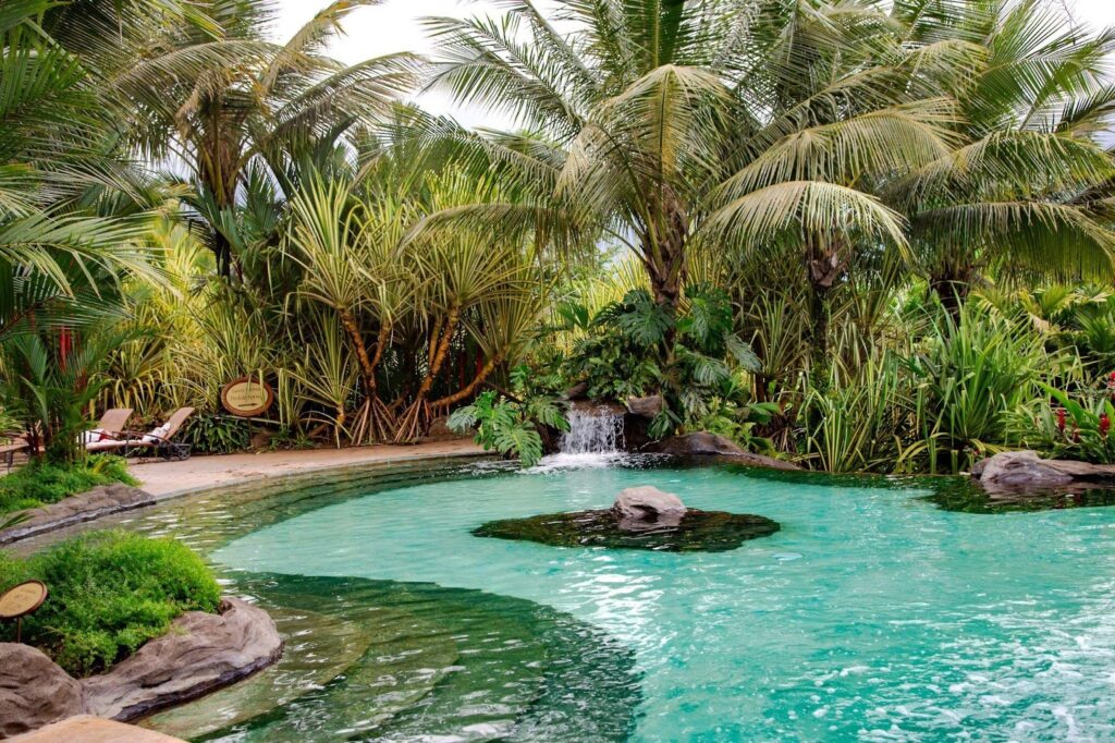 A peaceful tropical pool encircled by dense vegetation