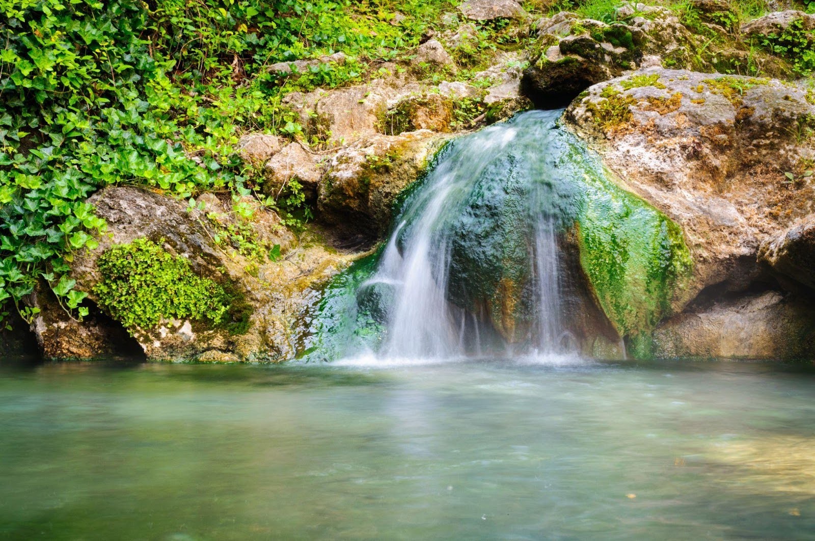 A serene waterfall cascades through a lush green forest surrounded by vibrant foliage and natural beauty
